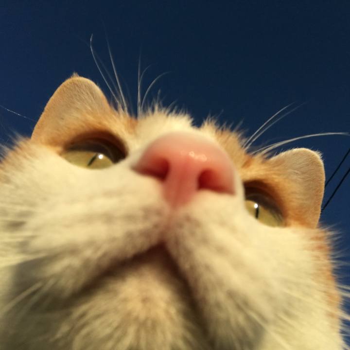 F3d2fb6c cc38 4882 8937 0383ac5f8bd4