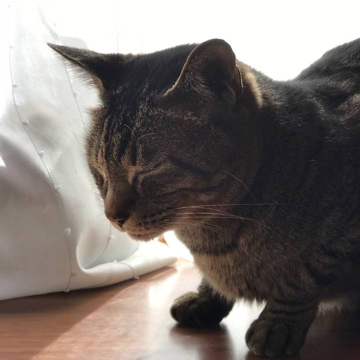 F3d371bf b6b3 4c0d 939c 636d7f56be05