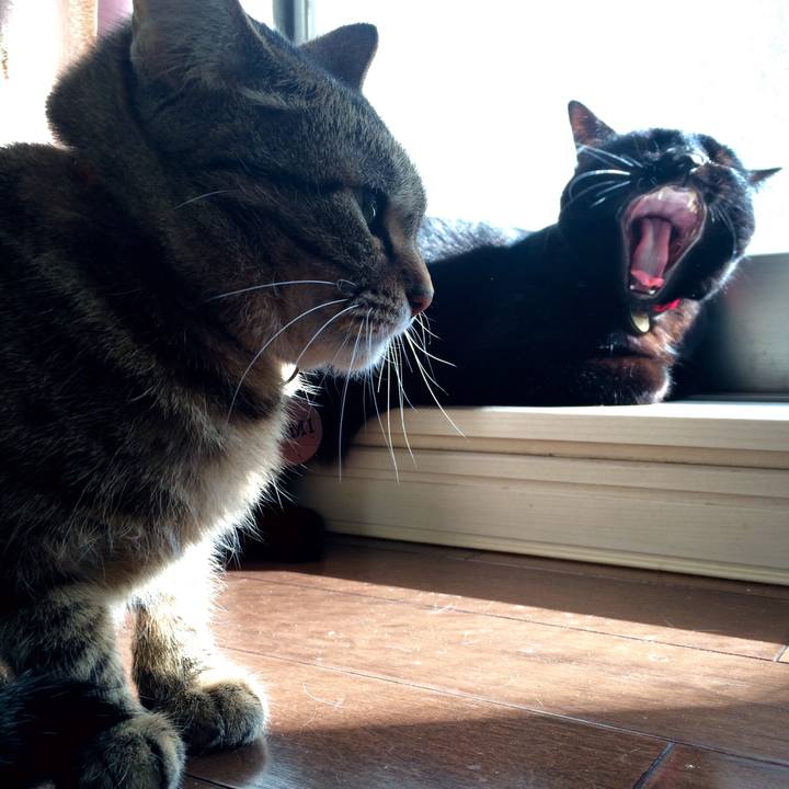 F3d39f97 3f71 478b aa32 e4278a19c434