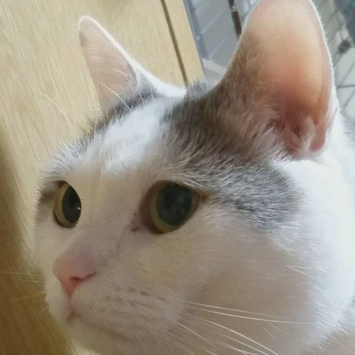 F3d445b6 cc3a 4fe7 83b7 cd873b20eb42