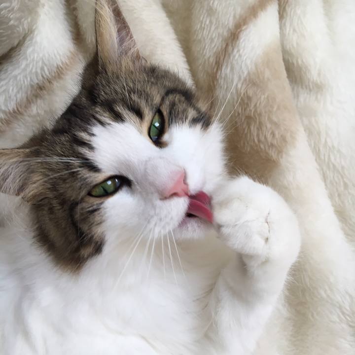 F3d45b01 c8ab 438b b832 abc1b8ba408f