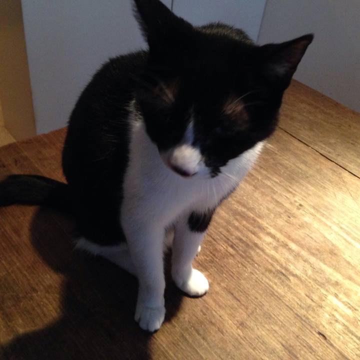 F3d55efc 9f20 43ec 8045 018dea9cabad