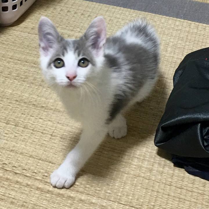 F3d5bf0a 24df 423a 8a8b 8125c5842d28