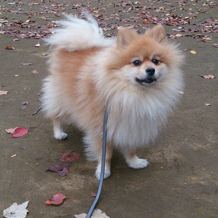 F3d5de6c 8893 483f 910a 1a58ee10d128