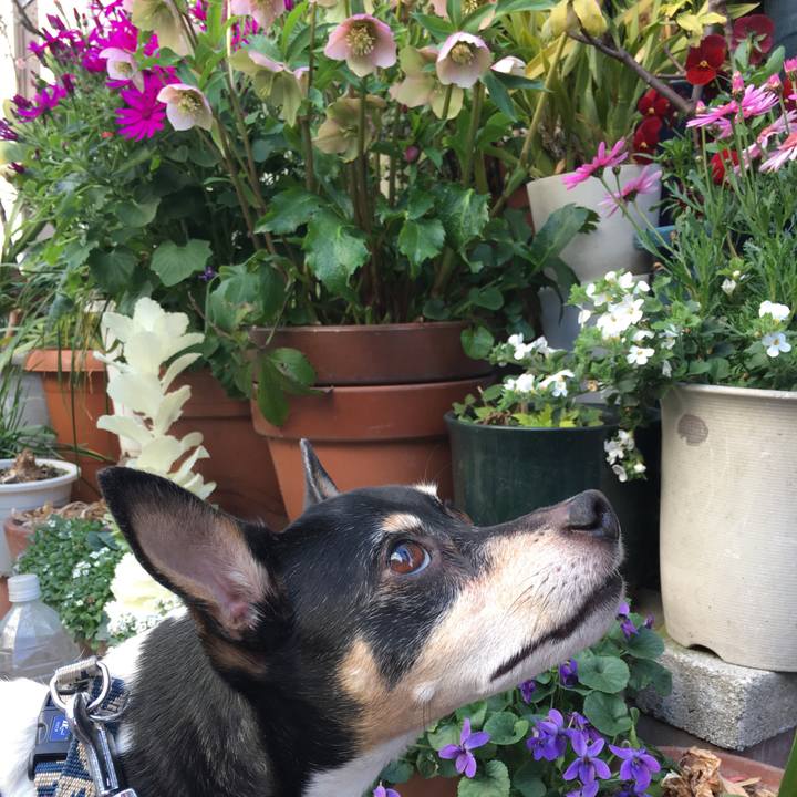 F3d5fd75 33ab 4418 ba7b c233e2b13420