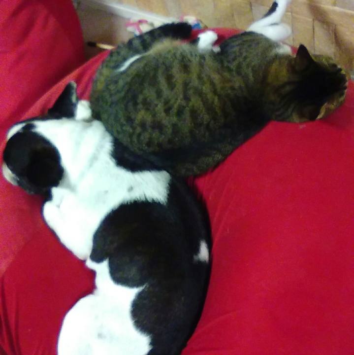 F3d5fe5e d466 4c88 b6d8 70ea0e095649