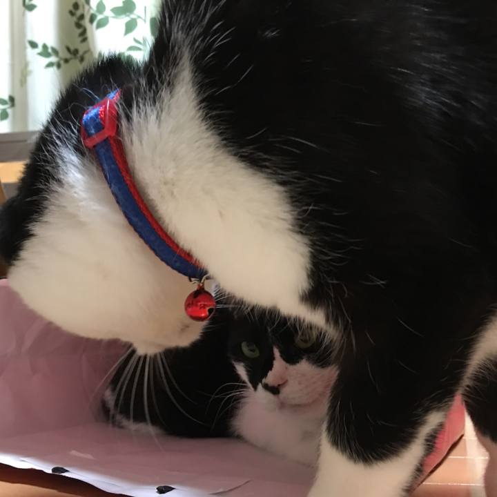 F3d66640 1f69 4f75 a961 0ae7412805d2