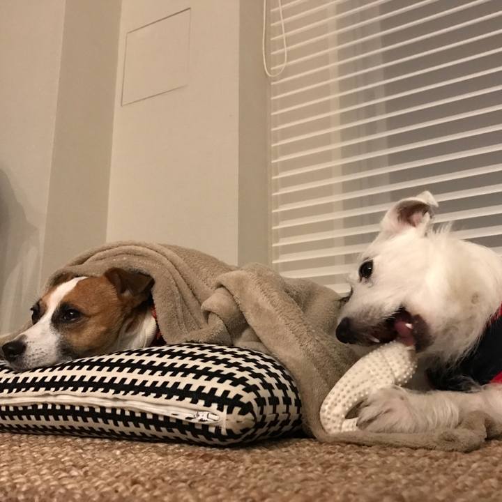 F3d67756 735e 49ac a4c8 3c5acd6b9909