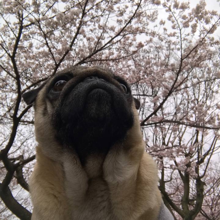 F3d6ed60 50b3 40dc b294 6c6b57b77bcc