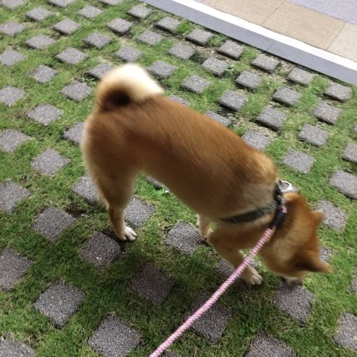 F3d70eb7 34c1 470a 854e 17b6e7494a95