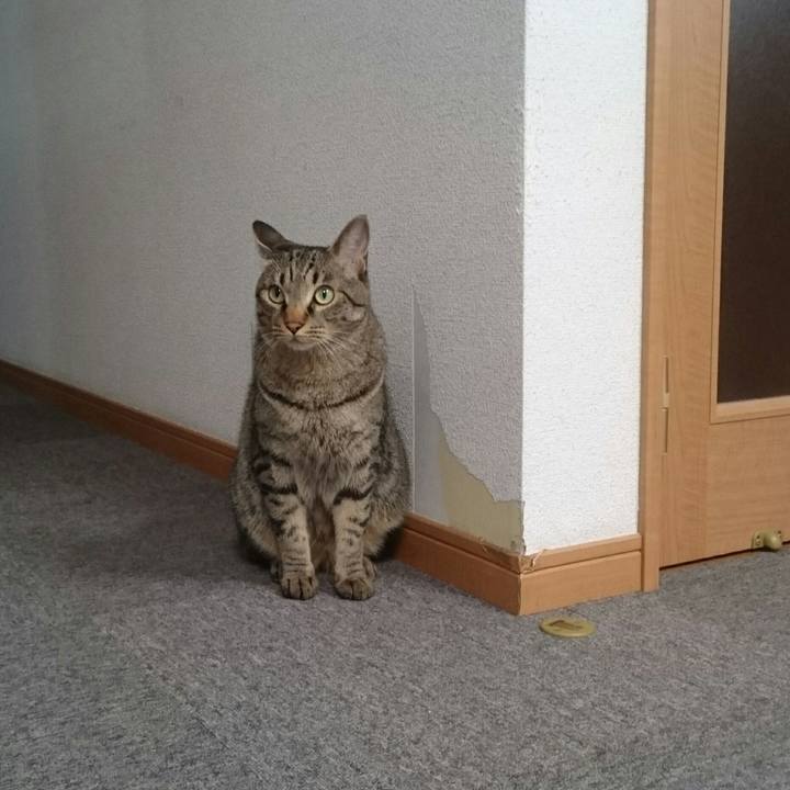 F3d733f0 246b 4687 9708 79205badcb86