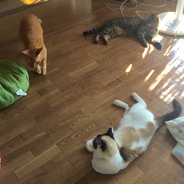 F3d75da6 08f9 4639 81dd bb41dec2d85a