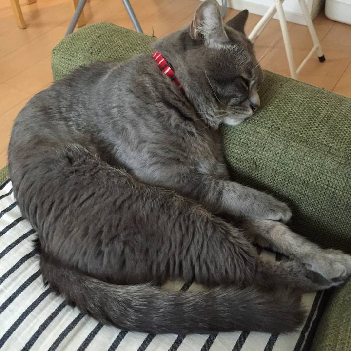 F3d796a3 2fd9 4553 9b71 d54acfd14804