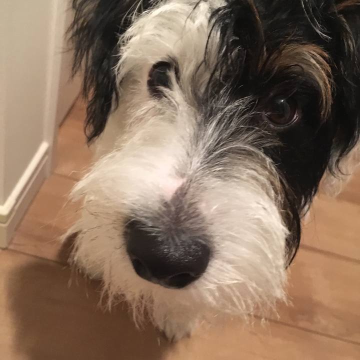 F3d88465 f2bf 4ab8 8d47 d97661dde933