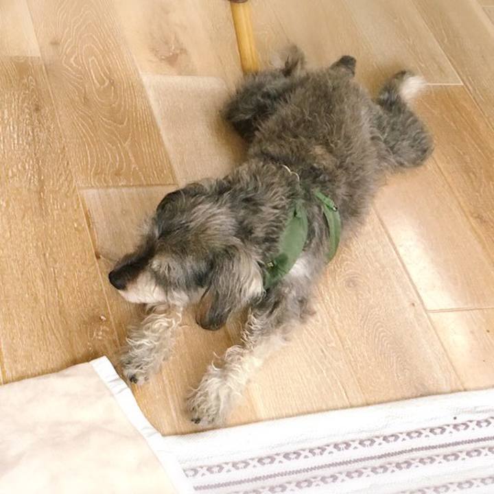 F3d8b339 e5d7 49af 8dc6 e9300c266bc0