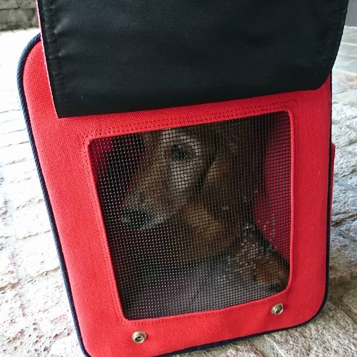 F3d8b9b2 2356 48cb bb50 6ef724d239e2