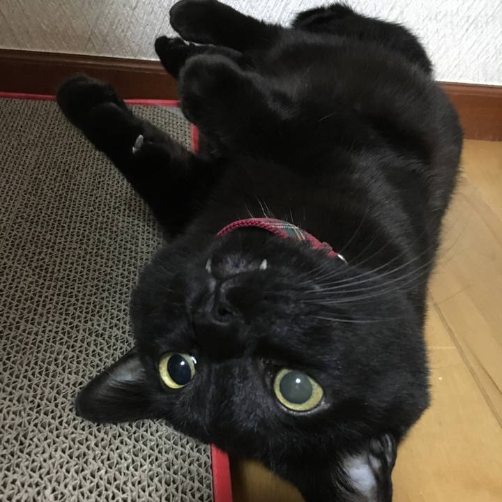 F3d8d36f 0b62 41f4 872e 6d4001418ee7