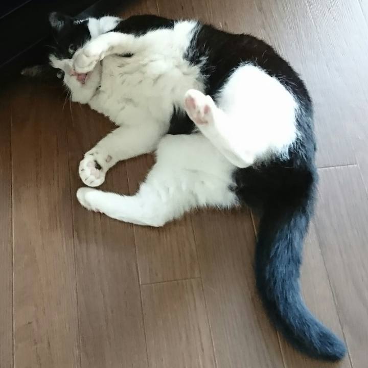 F3d935be 687b 44ce 8cfb 7eba660e4245