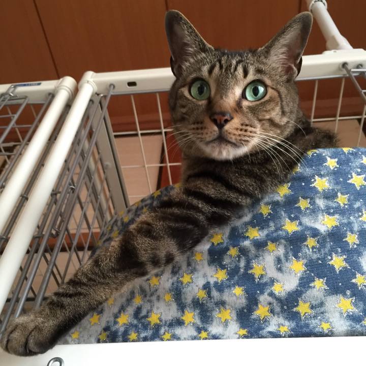 F3d974da 7aed 476e a872 7d474dbe5c11