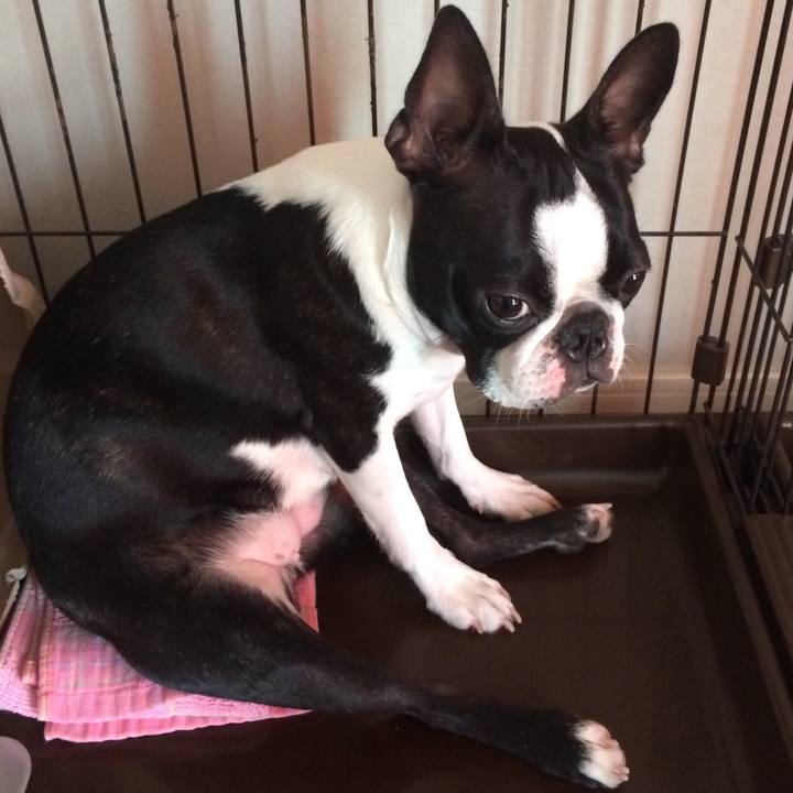 F3da1f7a 41ae 4fee 905e c92f758b28be