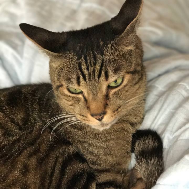 F3da25e7 9794 4f6e b6b6 a747fc971ea7