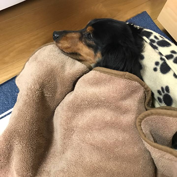 F3db9ed1 d8ea 405d ba38 5b37a640b377