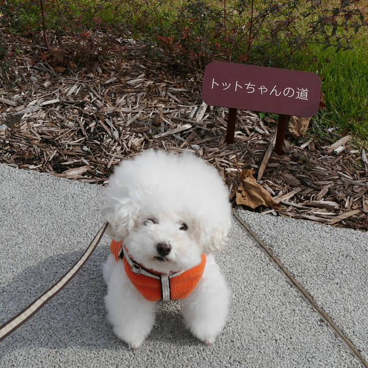 F3dbe0c0 131a 4dea a5e3 ee1890a6330a