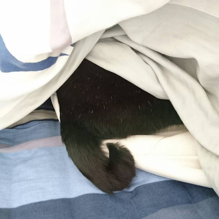 F3dd2c36 c728 4e94 9f38 69f3f86cad70