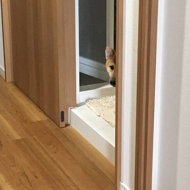 F3dd57d0 2d17 4216 ba96 b81cd435a97a