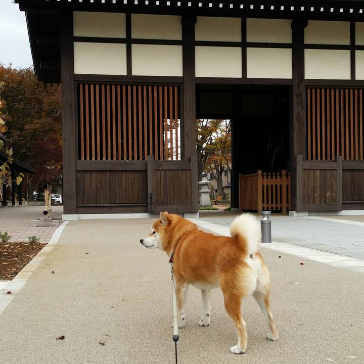 F3dd6190 909d 40c8 ba64 162d0caf5984