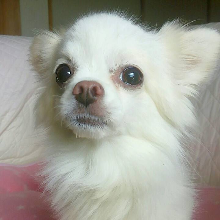 F3ddcaea 3eff 4dc0 ac7f 7421ffe4a6a8