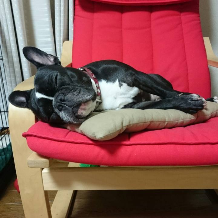 F3de2d95 79ca 465e b2af aeeee7e94e0f