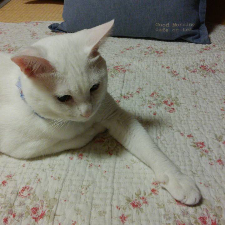 F3de3a8e 948d 4d67 90bd 3d2b8d6143f9