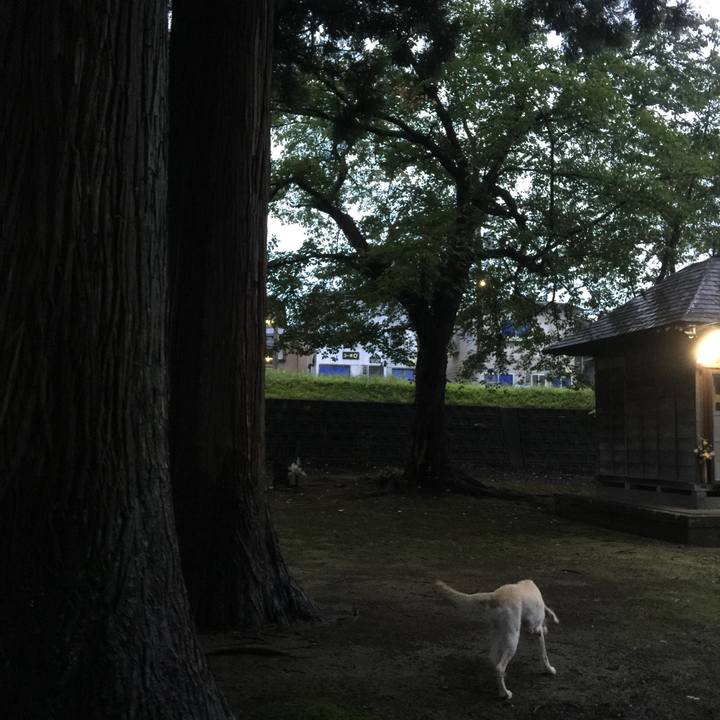 F3de9449 dadf 4c1d 97dd a2f4e53a561e