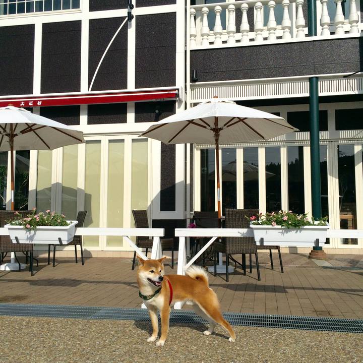 F3de9eb7 cac7 4528 be4f f31132912e64