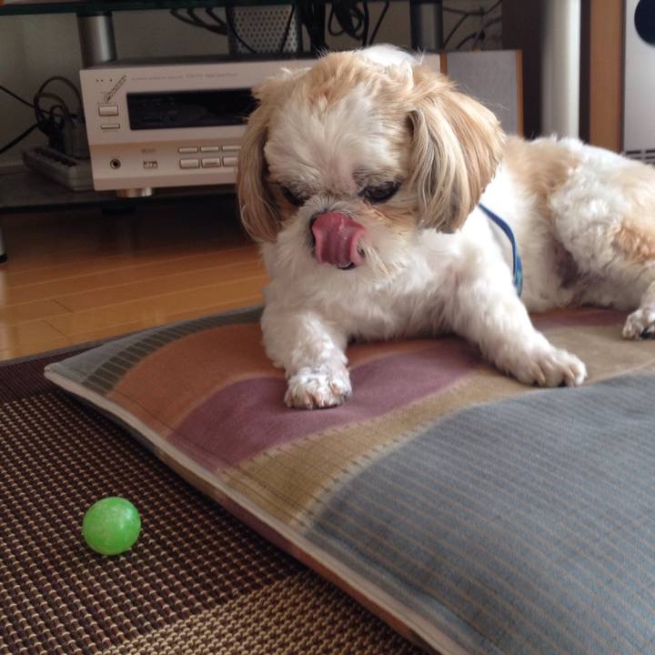 F3dee6f4 a70e 4fa1 80eb 79de99cb4dc2