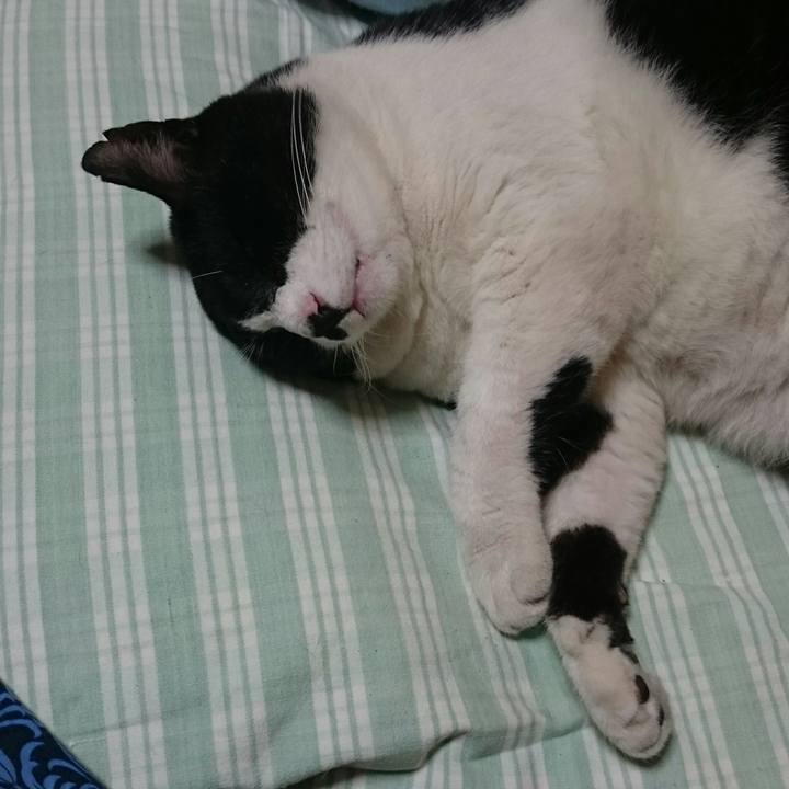 F3defbc8 50c5 430b af06 698057c978cb