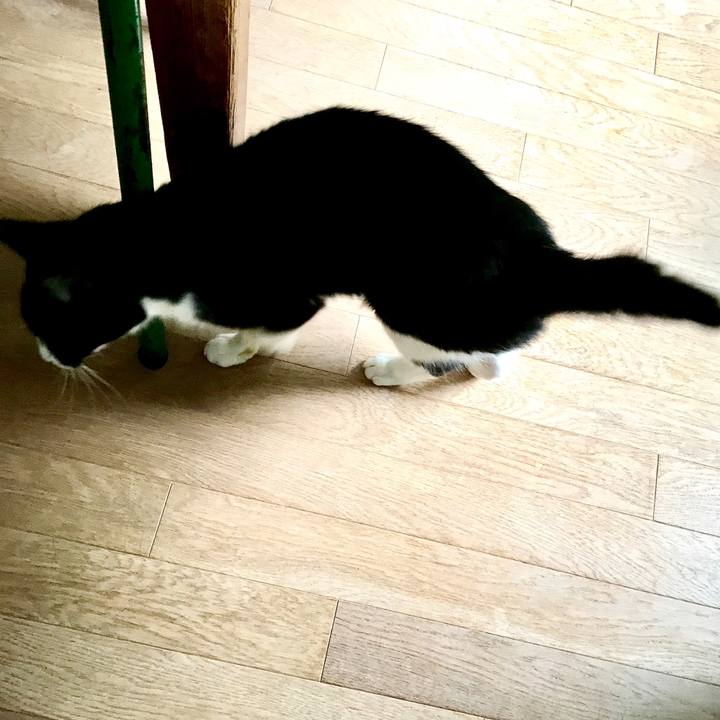 F3dffe01 d4f4 427b a836 a05992f736c5