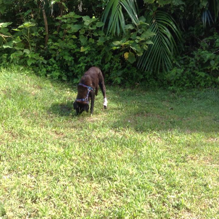 F3dffe2d 82c0 4982 9c9a dc5e9f9eff30