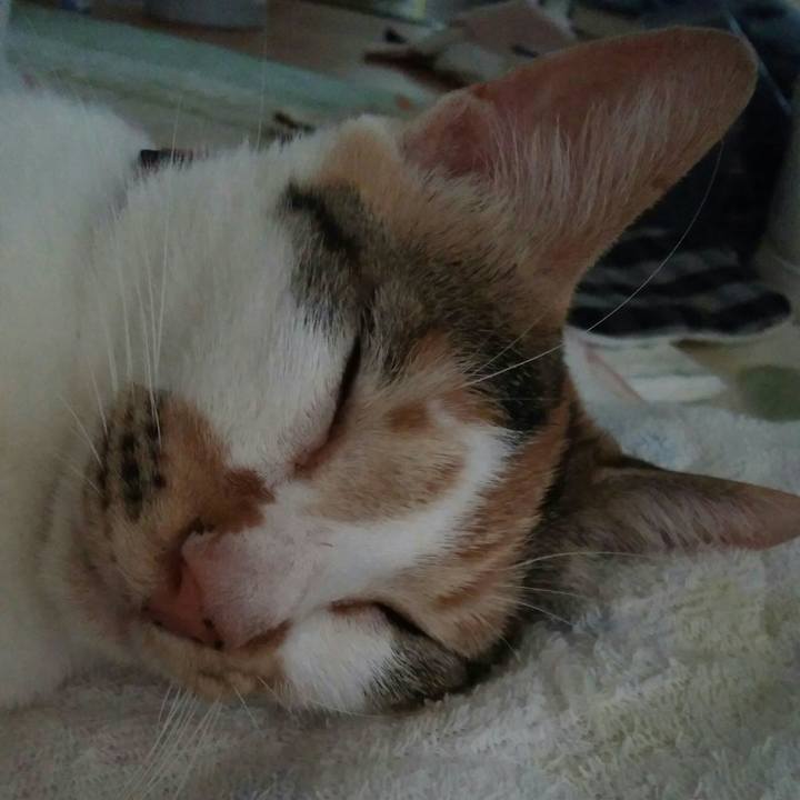 F3e08458 269d 4bb4 be42 deef2b106291