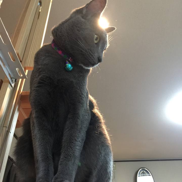 F3e09cbe 1f99 4bf6 8cb4 b4e1801a6ba1