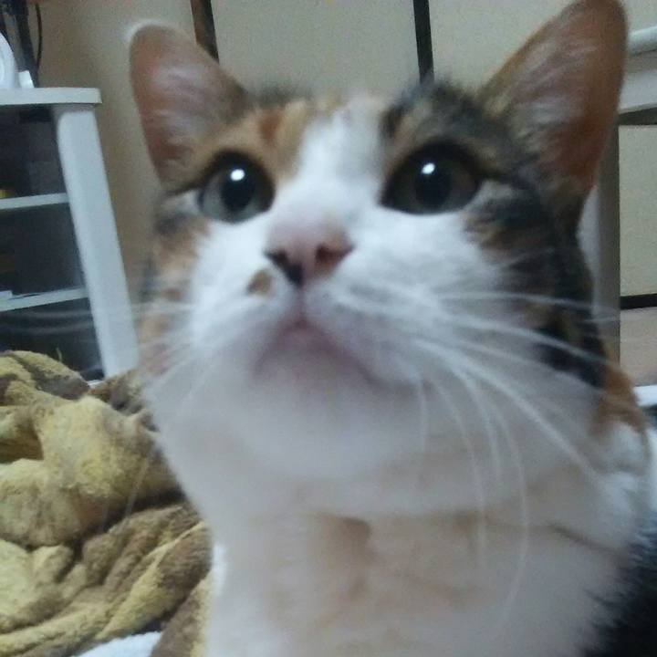 F3e0bb6a 7130 4105 841a 13c744b50aba