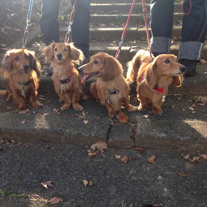 F3e0d7cc eb4e 4e71 9717 5223fa14d830