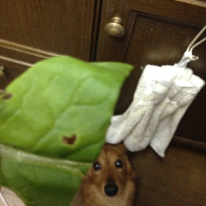 F3e16862 0bd3 439a b958 c4386a05b6fb