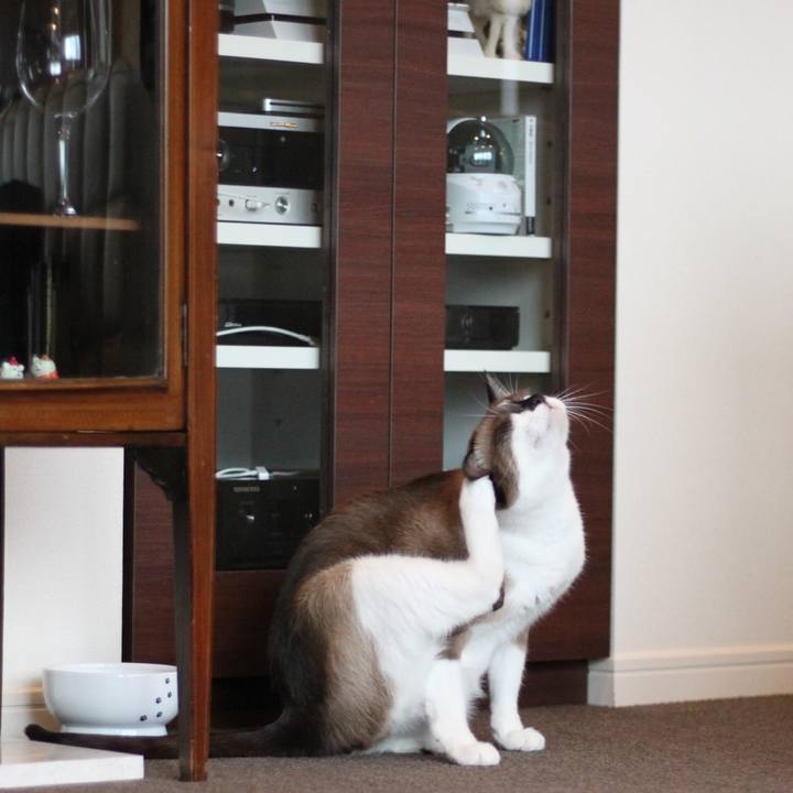 F3e1c18d aa00 43b6 b723 ed412a2041b3