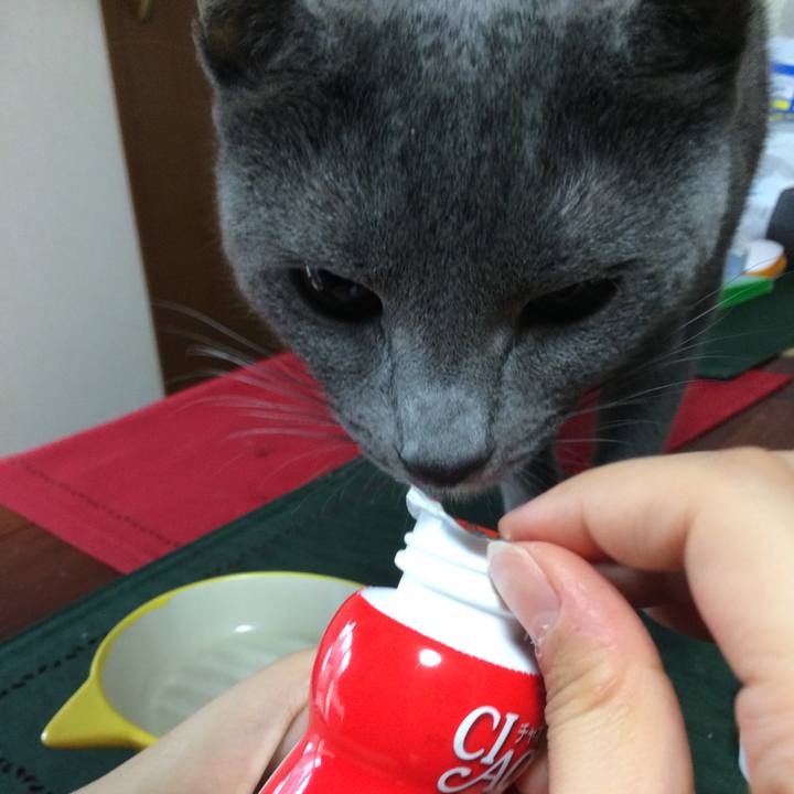 F3e1e804 69e9 41e6 9a21 47fe1cd46413