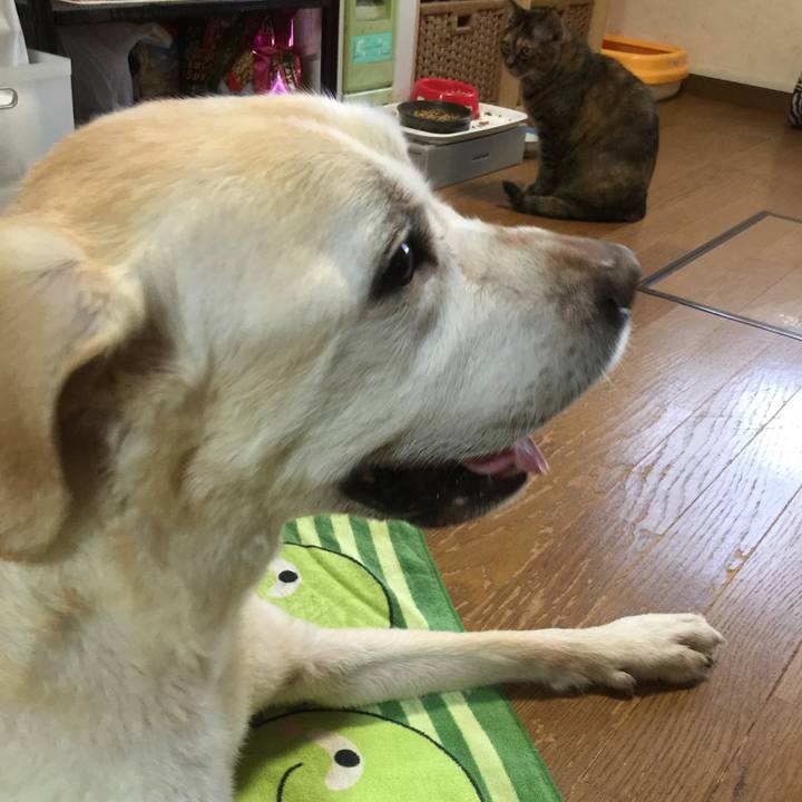 F3e1f2df 8843 4f97 a7a3 a85b3411c454