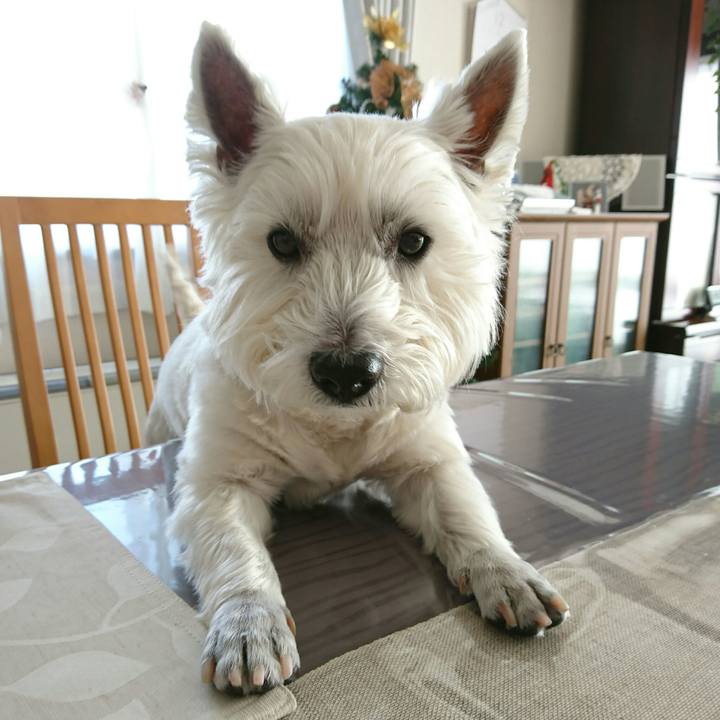 F3e257d7 483b 4d7b a052 fc3d6ef0ff87