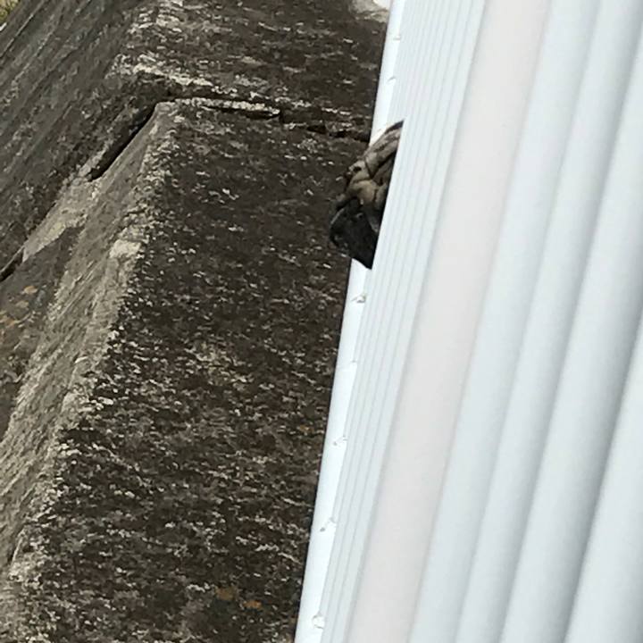 F3e2595f c7c5 4013 b83c c829d9d49c4d