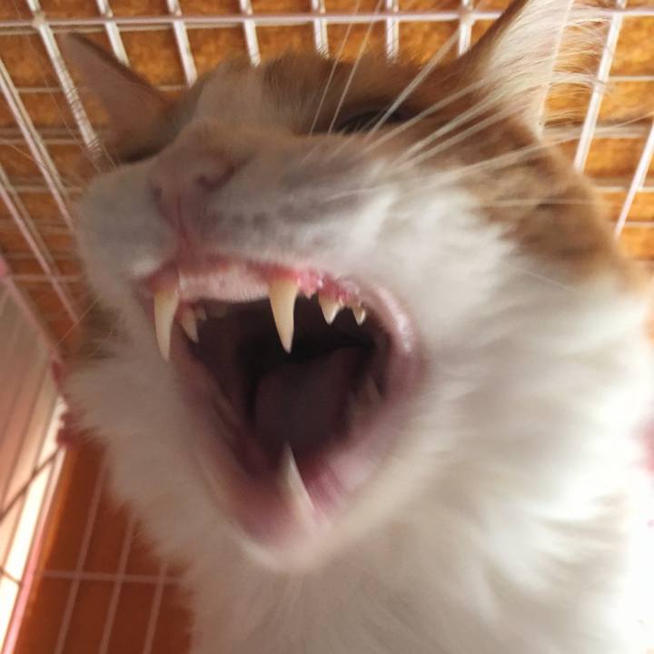 F3e28801 6312 4145 aa8d a366b72d0ef1